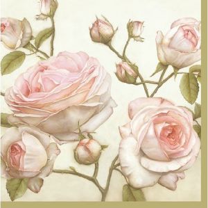 Ubrousky PAW Dekor L (20ks) Beauty Roses