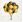 Ubrousky PAW TETE L (20ks) Flying Balloons