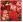 Ubrousky PAW TETE L (20ks) Red Bouquet