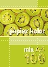 Xero papír A4 100l mix kolor