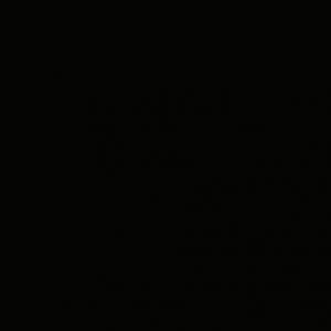 Ubrousky PM Airlaid 40x40 cm 12ks Black