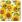 Ubrousky PAW Dekor L (20ks) Dancing Sunflowers