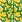 Ubrousky PAW Dekor L (20ks) Banana Forever