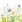 Ubrousky DAISY L (20ks) Beautifull Flower Meadow