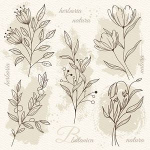 Ubrousky DAISY L (20ks) beige Flower Illustration on Watercolor Paper