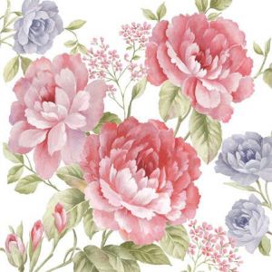 Ubrousky PAW TETE L (20ks) Julietta