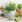 Ubrousky PAW Dekor L (20ks) Kitchen Herbs