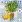 Ubrousky PAW Dekor L (20ks) Citrus Tree