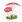 Ubrousky MAKI L (20ks) Painted Toadstool