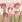 Ubrousky DAISY L (20ks) Tulips in Vintage Backgroud