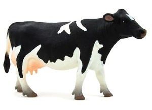 Kráva Holstein