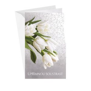 ARGUS Kondolence Úpřimná soustrast 14-625c