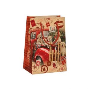 ARGUS Dárková papírová taška NATUR (13 x 18 cm) T2N 08240052
