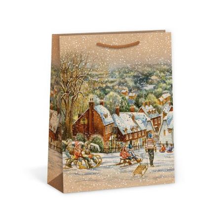 ARGUS Dárková papírová taška (18.3 x 24.3 cm) 08440070