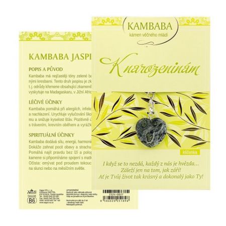 ARGUS Klíčenka 23240027