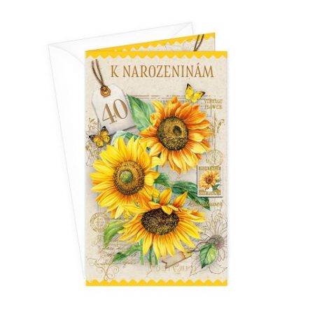ARGUS Přání k 40.narozeninám 15-6575c40