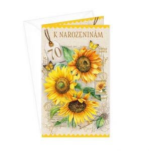 ARGUS Přání k 70.narozeninám 15-6575c70