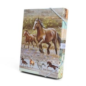 ARGUS Školní box na sešity A4 Wild horses 12310414