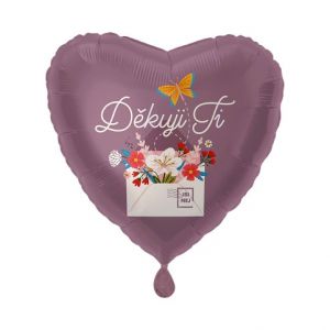 ALBI Balónek fóliový Děkuji Ti