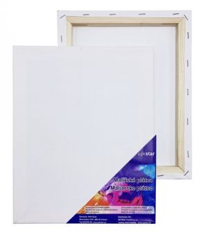 Plátno malířské 60 x 70 cm