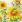 Ubrousky PAW Dekor L (20ks) Wild Sunflowers