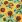 Ubrousky DAISY L (20ks) Sunflower Wallpaper