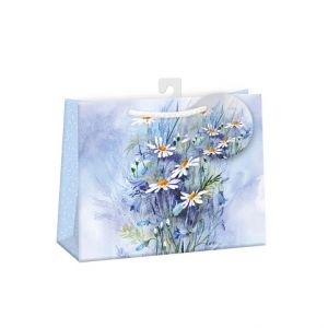 ARGUS Dárková papírová taška (30 x 23 cm) 07670815h