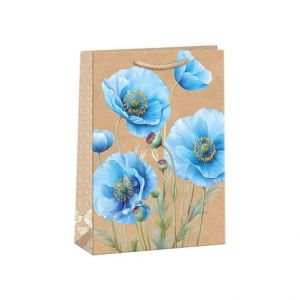 ARGUS Dárková papírová taška T5N (23.3 x 31.3 cm) 07540150