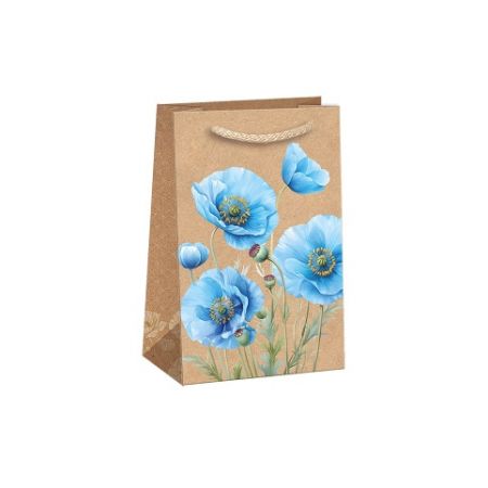 ARGUS Dárková papírová taška T1N (10 x 16 cm) 07140150