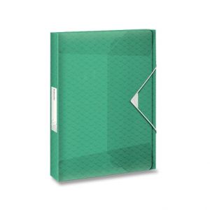 Box na dokumenty Esselte Colour'Ice ledově zelená
