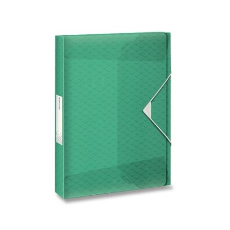 Box na dokumenty Esselte Colour'Ice ledově zelená