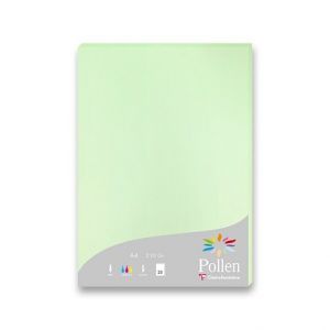 Barevná dopisní karta Clairefontaine světle zelená, A4