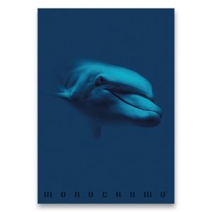 Školní sešit Monocromo Blue A4, linkovaný, 40 listů, mix motivů