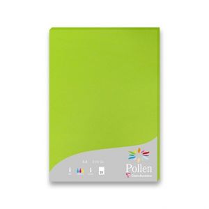 Barevná dopisní karta Clairefontaine zelená, A4