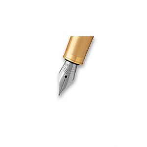 Náhradní hrot PARKER IM Premium Gold GT - hrot M