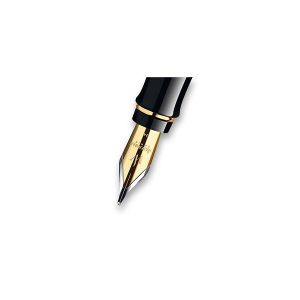 Náhradní hrot Waterman Expert GT - hrot M