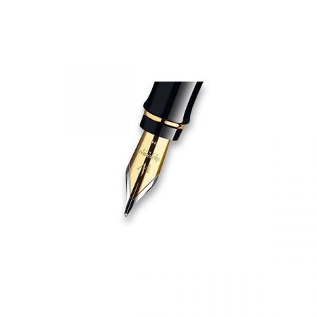 Náhradní hrot Waterman Expert GT - hrot M