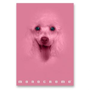 Školní sešit Pigna Monocromo Pink - A4, linkovaný, 38 listů, mix motivů