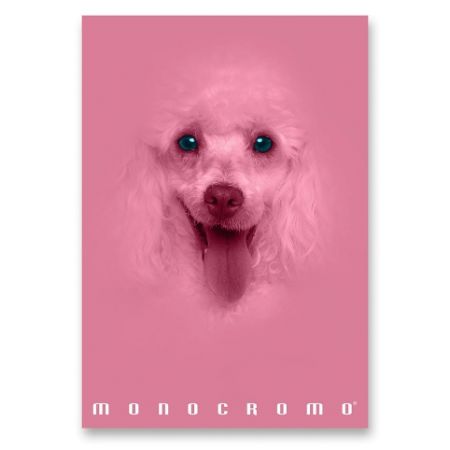 Školní sešit Pigna Monocromo Pink - A4, linkovaný, 38 listů, mix motivů
