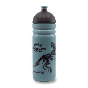 Zdravá lahev 0,7 l - T-Rex