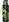 Lahev CoolPack Brisk 600ml Green Mirror