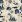 Ubrousky DAISY L (20ks) Marine Theme on Beige