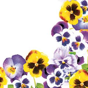 Ubrousky 33 x 33 cm DAISY 20 ks