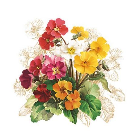 Ubrousky 33 x 33 cm DAISY 20 ks