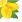 Ubrousky PAW Dekor RF (12ks) Pure Lemons