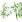 Ubrousky DAISY L (20ks) Green Bamboo