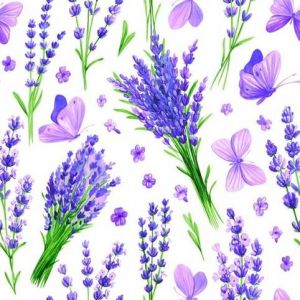 Ubrousky DAISY L (20ks) Lavender with Violet Butterflies