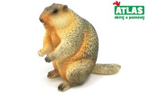 Figurka Svišť 6,5 cm