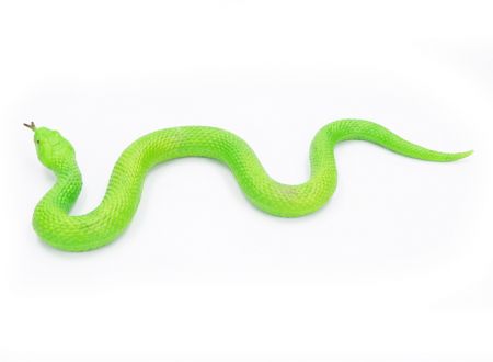 Had gumový měkký zelený 61 cm