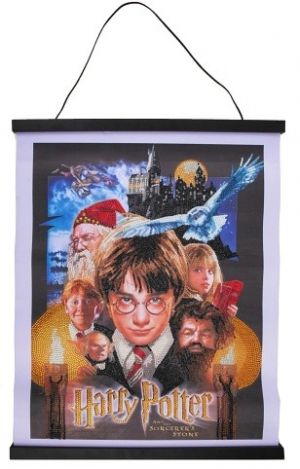 Crystal Art plátno - Harry Potter, 35x45cm